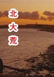 国模精品